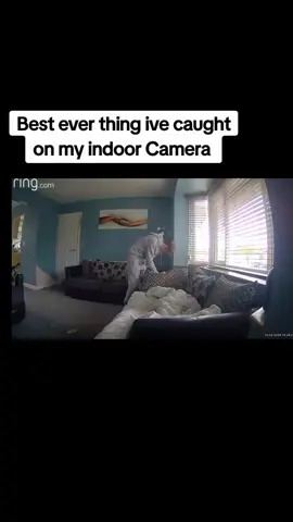 #fails #funny #dogd#dinner 