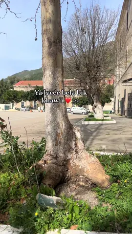 #fyp #viealvideo #tik_tok #algeria #fyyp #pourtoii 