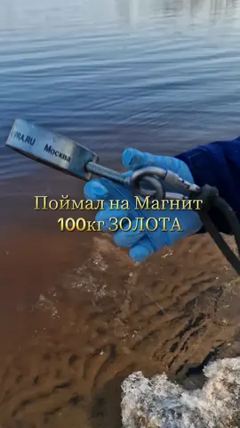 поисковый магнит и жёлтое золото 