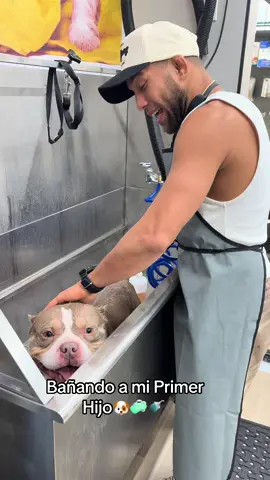 Bañando a Dior 🐶♥️🧼🚿#explorepage #paratii #viralllllll #viraltiktok #foryoupage #fyppppppppppppppppppppppp #funnyvideo #goviral #fyp #fy #fypシ #explore #dogsoftiktok #dog #doglover #americanbully #bully #PetsOfTikTok #pet 