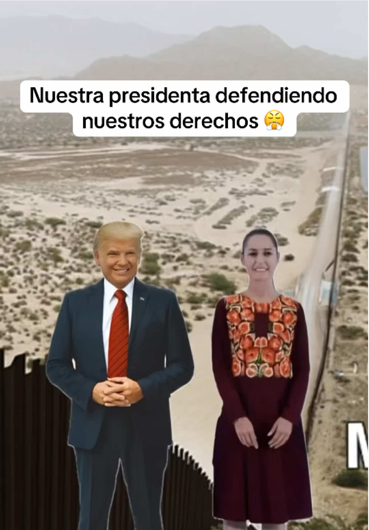 Eso es todo presidenta#danoldtrump #claudiasheimbaum #presidenta#peliandoo 