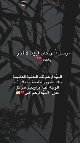 اللهم ارحم امي واغفر لها واجعل مثواها الجنه 🥹🤲🏻 #امي #الله_يرحمك #اللهم_ارحم_امي #سنة_جديدة #رحمه_الله_روحاً_لا_تنسىٰ_ولا_تعوض💔💔 #افتقدك_جدا_أمي #جنة_الفردوس #انالله_وانااليه_راجعون #اشتقت_لكي_أمي💔😥 #شعور_الفقد #دعاء_لامي_المتوفية #فقد_الام #فقيدتي_امي_افتقدك💔 #يوم_الجمعه_خيرا_من_كل_يوم #فقدتي_امي💔 #سنة_من_وفاة_امي #فقديتي_امي #اكسبلورexplore #امي_رحمها_الله #جنة_الفردوس_مثواها 