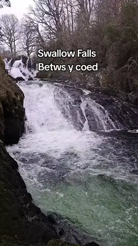#Wales #swallowfallswales #betwsycoed #betwsycoedfalls 