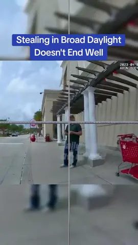 Stealing in Broad Daylight Doesn't End Well #cops #copsoftiktok 