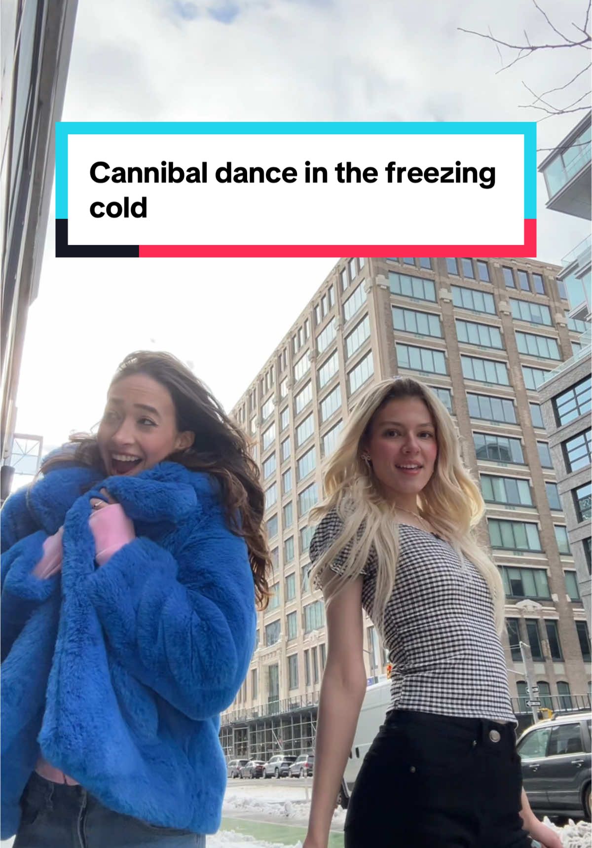 It was freezinggg!!!! 😭 @Jordan Turpin #fyp #foryou #cannibaldance #keshacannibalsong #freezingnewyork #nyfw2025 #trend #danceinthecold #creator #sashaanne 