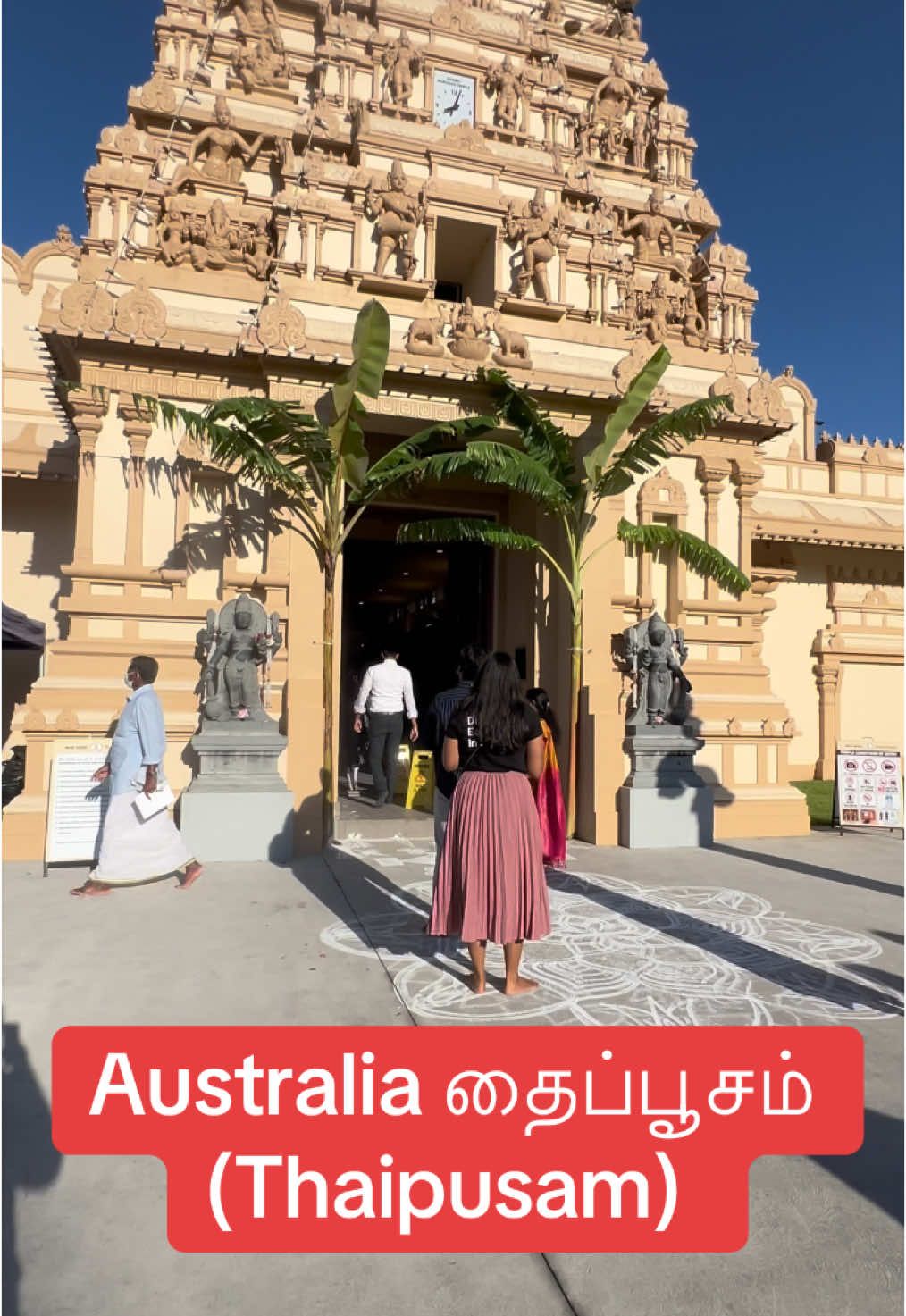 தைப்பூசம் (Thaipusam)  in Sydney Murugan temple 🛕 #thaipusam #sydneytemple 