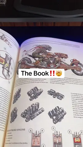 The Book 🤯 #apocolypse #survival #thebook 