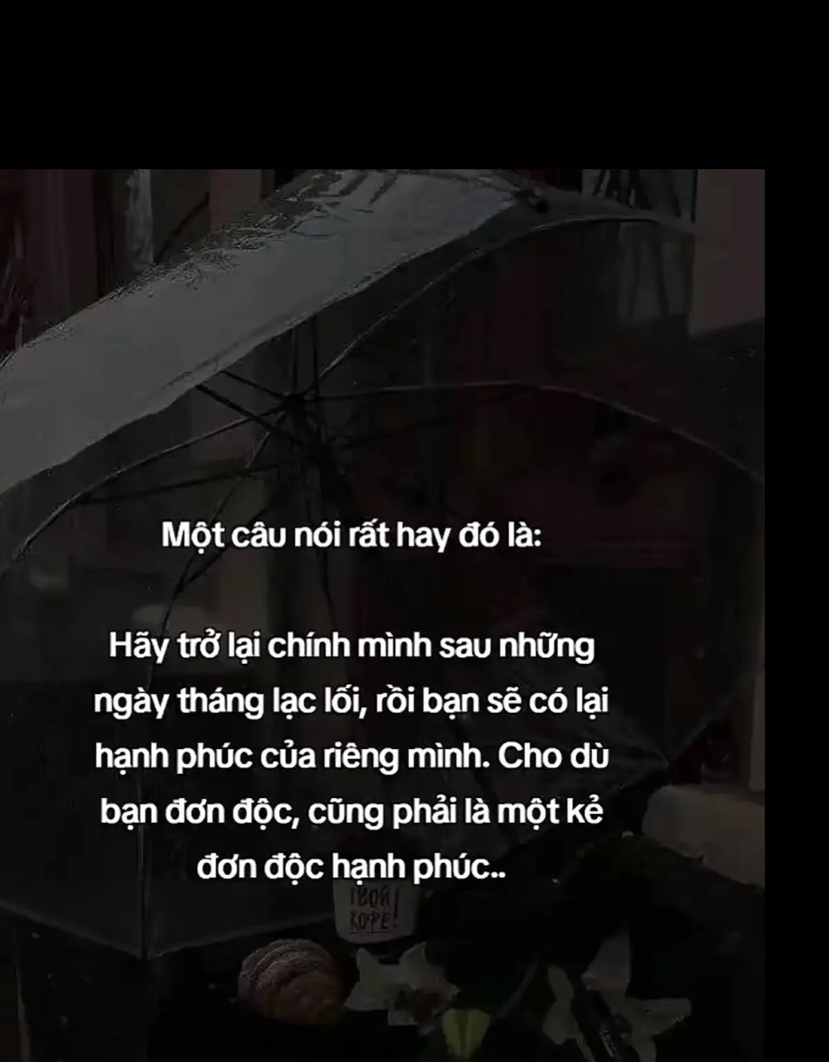 Dù cho bạn đơn độc, cũng phải là một ket đơn độc hạnh phúc