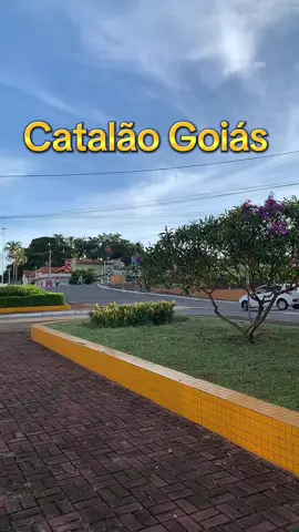 Catalão Goiás,,Praça Aguiar De Paula ,,Bairro Nossa Senhora De Fátima ,Arborização E Jardinagem Maravilhosos #catalao #goias #bairro #arborizacao#jardinagem  @flaviane.quintiliano 