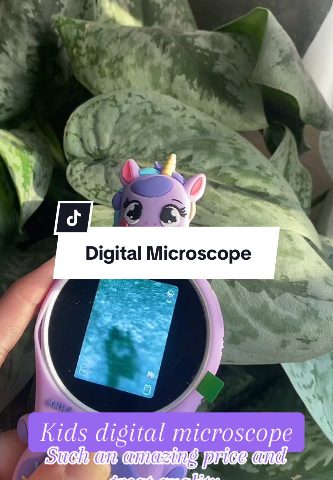 My nieces are going to love this! #digitalmicroscope 