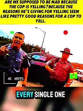#cops #copsoftiktok #police #policeoftiktok #audit #auditing #trendtiktok #viral #fyp