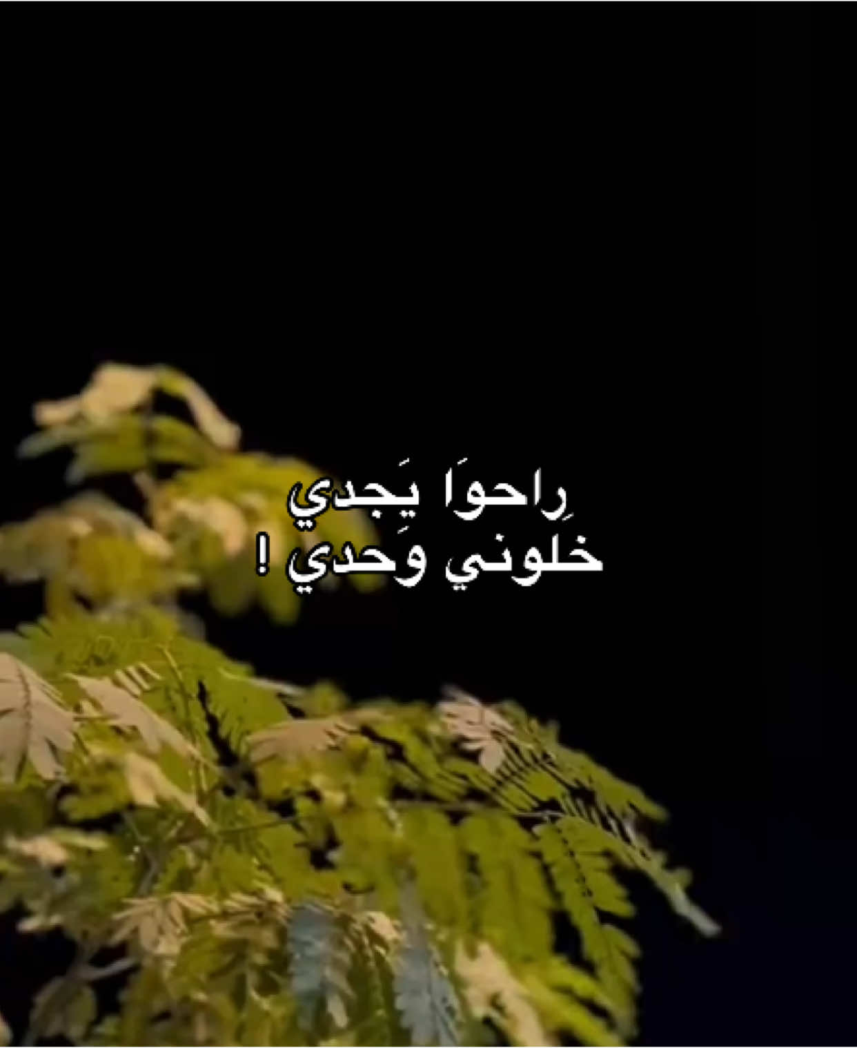 .  #باسم_الكربلائي #lonelyyah 