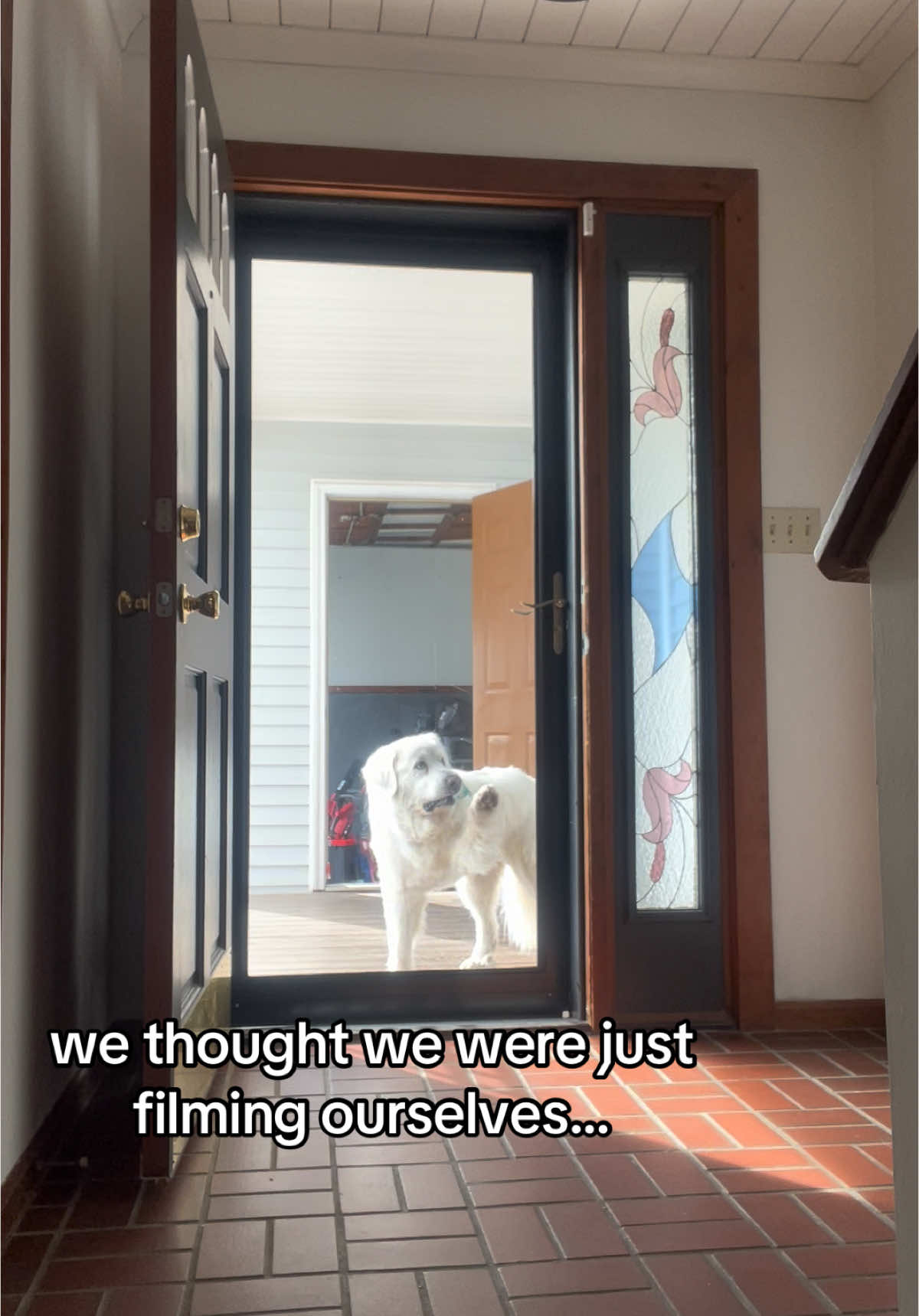 bought our first home with our first fur baby 🐾 #greatpyrenees #dogsoftiktok #newhome #arithegreatpyrenees 