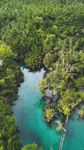 Tinggal pilih aja mau pantai yang hangat atau sungai dingin 😎 #LuwukBanggai #HiddenParadise #weermolino #wonderfulplaces #indonesia🇮🇩 #dondo #balantakselatan #droneshot #djiglobal #djimini3 