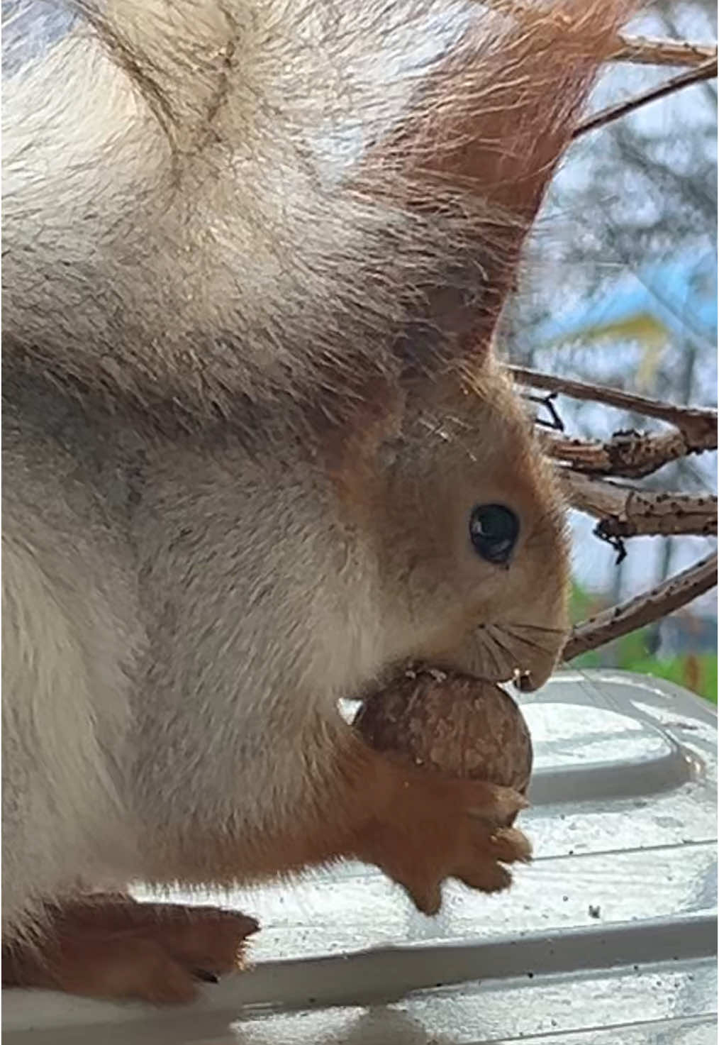 #белка🐿️ #рекомендации #рекомендации 