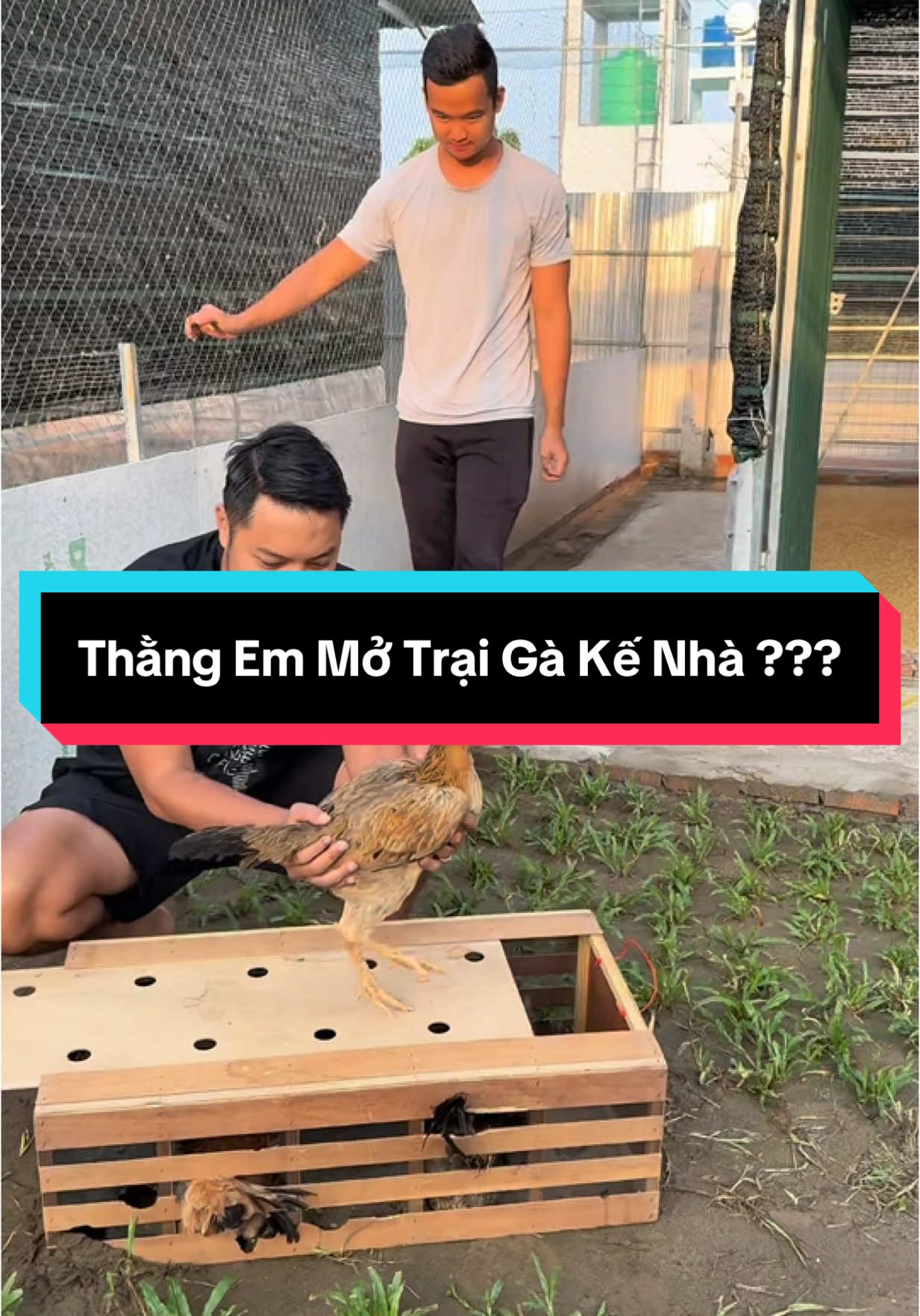 Thằng Em Mở Trại Gà  @Nguyễn Thành Công Chúc Em Thành Công Như Tên Em @Trại Gà Lâm Thành Hón- KM #traigalamthanhhon 