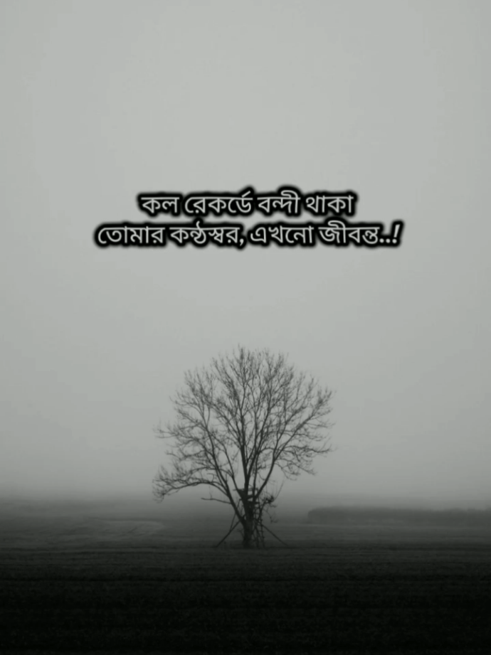 কল রেকর্ডে বন্দী থাকা তোমার কন্ঠস্বর, এখনো জীবন্ত..! 💔🥀 #foryou #foryoupage #trending #sadlines #sadstatus #sadstory #status #lyrics #sadlife 