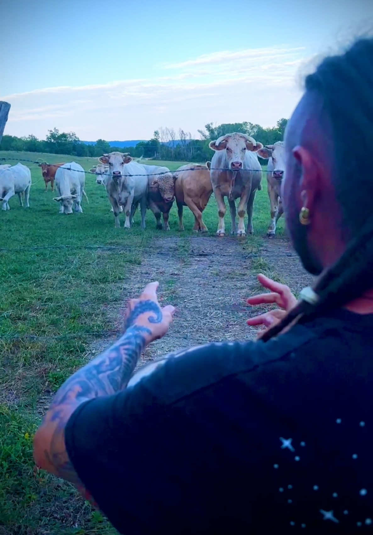 Qui pense que les animaux, sont autant voir plus sensibles à la musique et aux énergies que les humains ? 🫂❤️ 🐮  #handpan #caw #animal #animallover #humananimalbond #cuteanimals #warrenshanti 