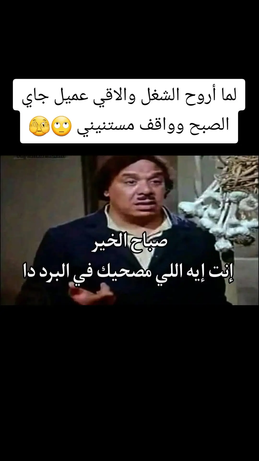 #Mahamehooo 💜 #الموظفة_الفرفوشة 💃 💃 💃 #يوميات_موظفه 🤭 🤭 🤭 #الشغل_وسنينه 🤣 🤣 🤣 