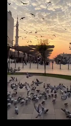 #CapCut#sholawatan#islamic_video#selawatmerdu#fyp#foryoupage 