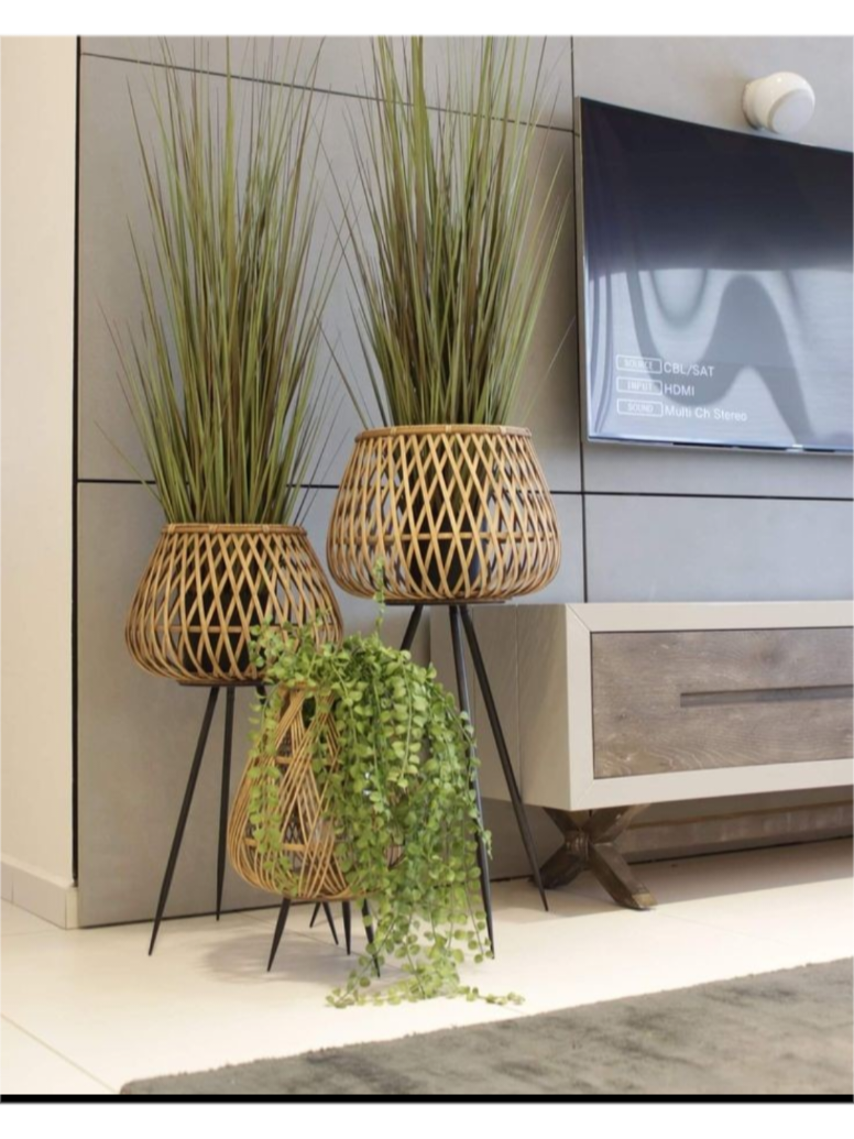 Planta Trio 🪴🌾💚 #fyp #aestheticvideos #plants #interier #decor #homeimprovement #homedecor #plantsoftiktok #indoorplants 