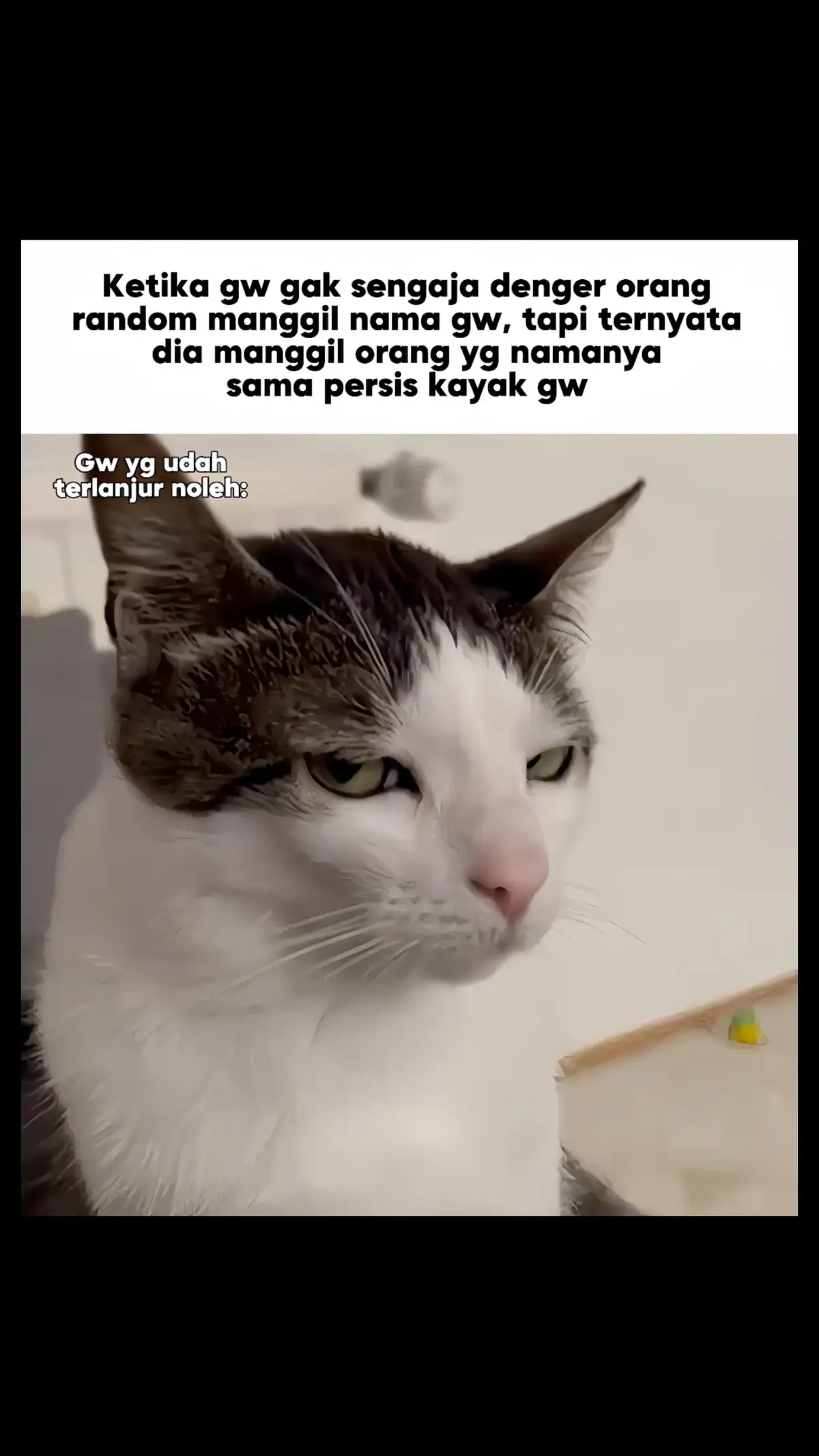 ngapain namanya sama!! #viral #fypシ #meme #zxycba 