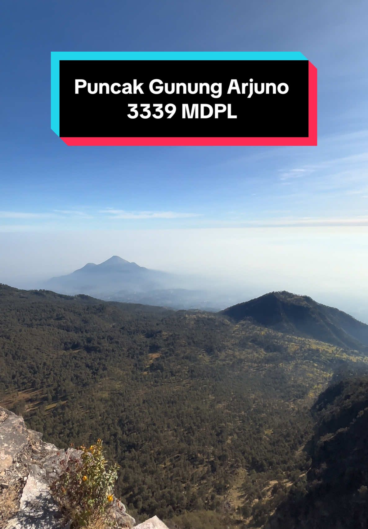 Rindu Arjuno itu memang nyata adanya.🥹🥹 #gunungarjuno #gunungarjuno3339mdpl #foryou #gunungarjunowelirang #arjuno #fypシ゚viral #arjuno3339mdpl #arjunowelirang #puncakogalagil #arjunomountain #fyp #naturevibes #naturelover #naturephotography #iphone15plus #iphone15 #masukberandafyp #puncakgunung 