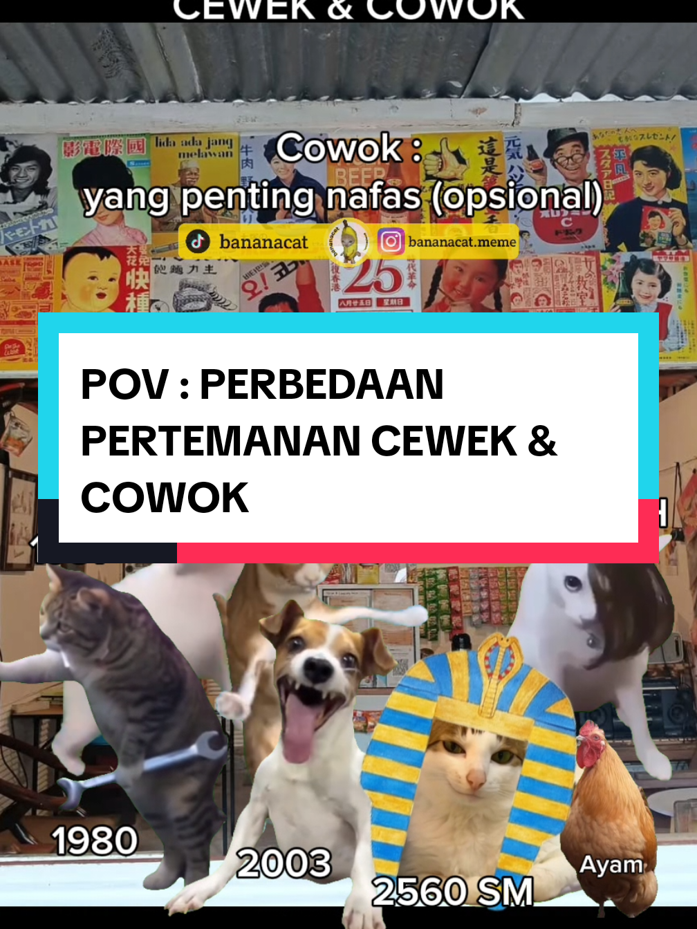 Rizky kunci pas, agus kopling, lanjut komen dongg #fyp #foryoupage #memecat #memekucing #viral #trending 