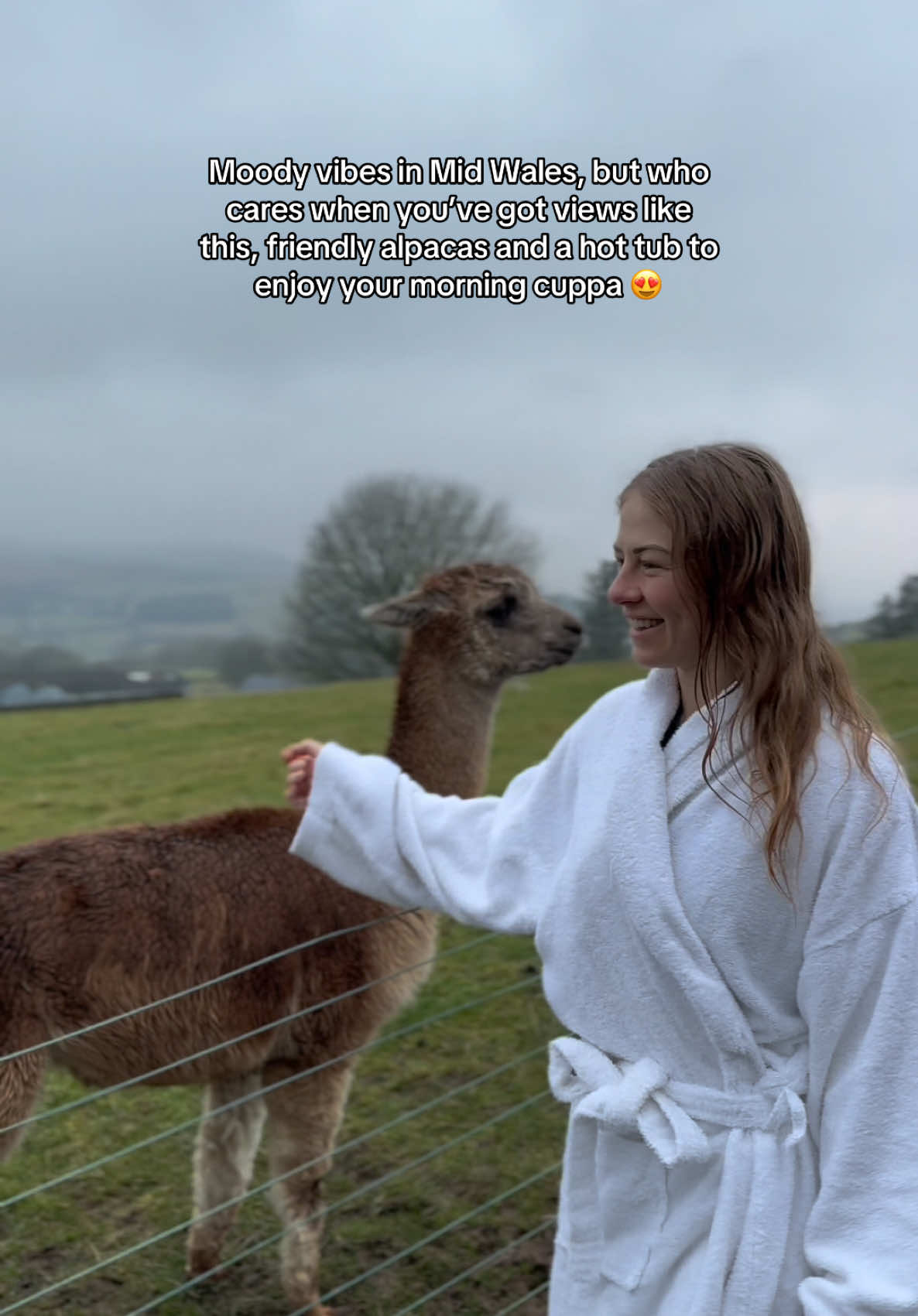 Moody vibes in Mid Wales… but who cares when this is how you spend your morning 😍😍 🏡 @lundylodges #visitwales #alpaca #hottubviews #luxurylodges #midweekbreak 