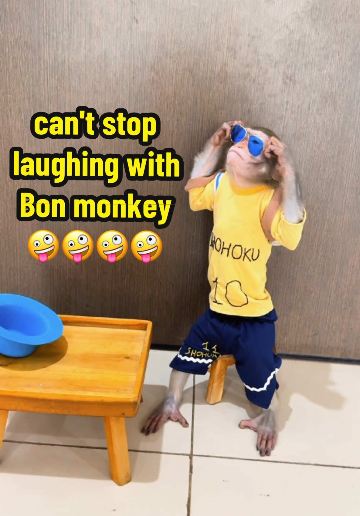 can't stop laughing with Bon monkey #monkey #monkeycute #monkeyfamily #monkeybonbon #monkeyfunny #monkeysmart #animal #trending #