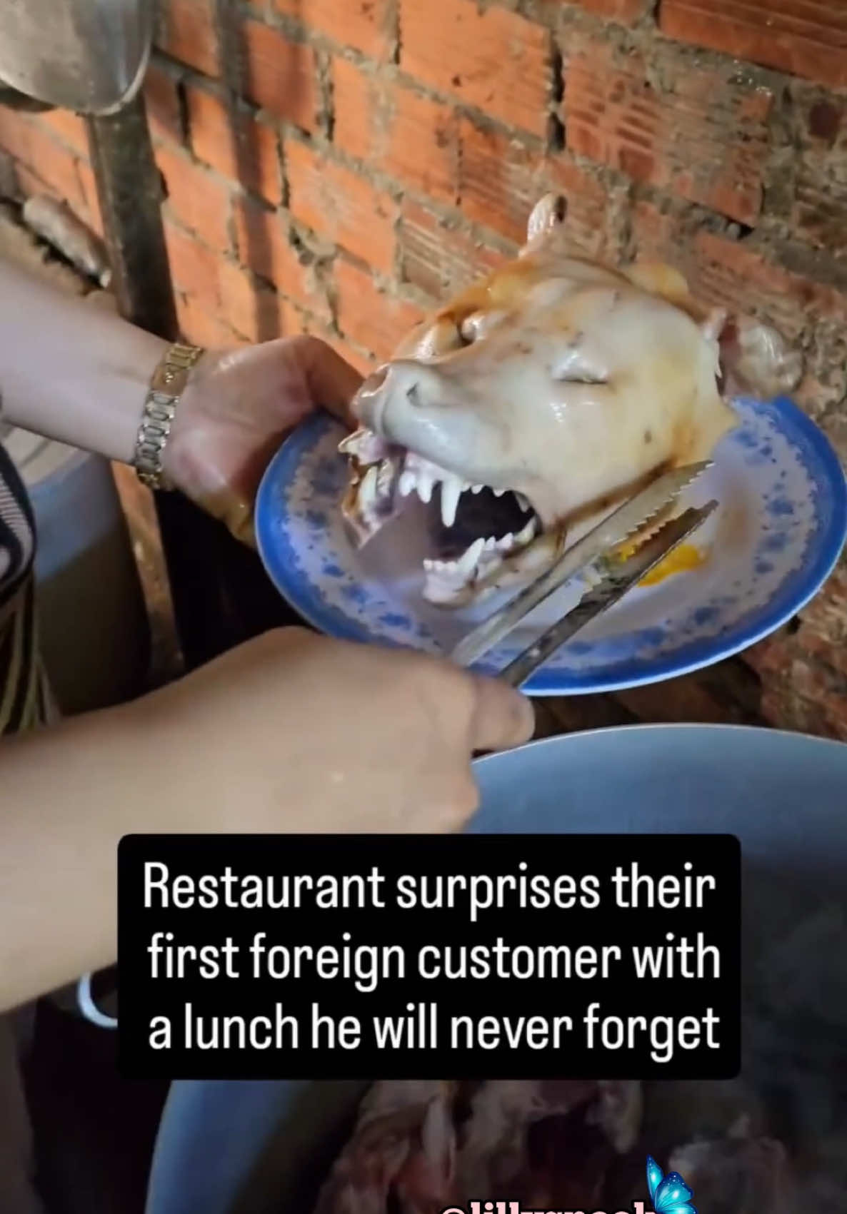Gotta eat what’s moving.. 😳  #food #steeetfood #indianfood #asianfood #chineesefood #mukabang #weirdthingstoeat #weirdthingspeopleeat #disgusting #weird #yuck #disturbing 