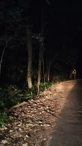 real gag ada angin,indomi apa yang kalian lihat 🗿#fy #hutan #mitos #malamjumaat #malamsatusuro #lewatberanda #ceritahorror #cangar #sendi #pacet #pacetmojokerto #malam #sepi #setan #tuyul #jin #kelam 