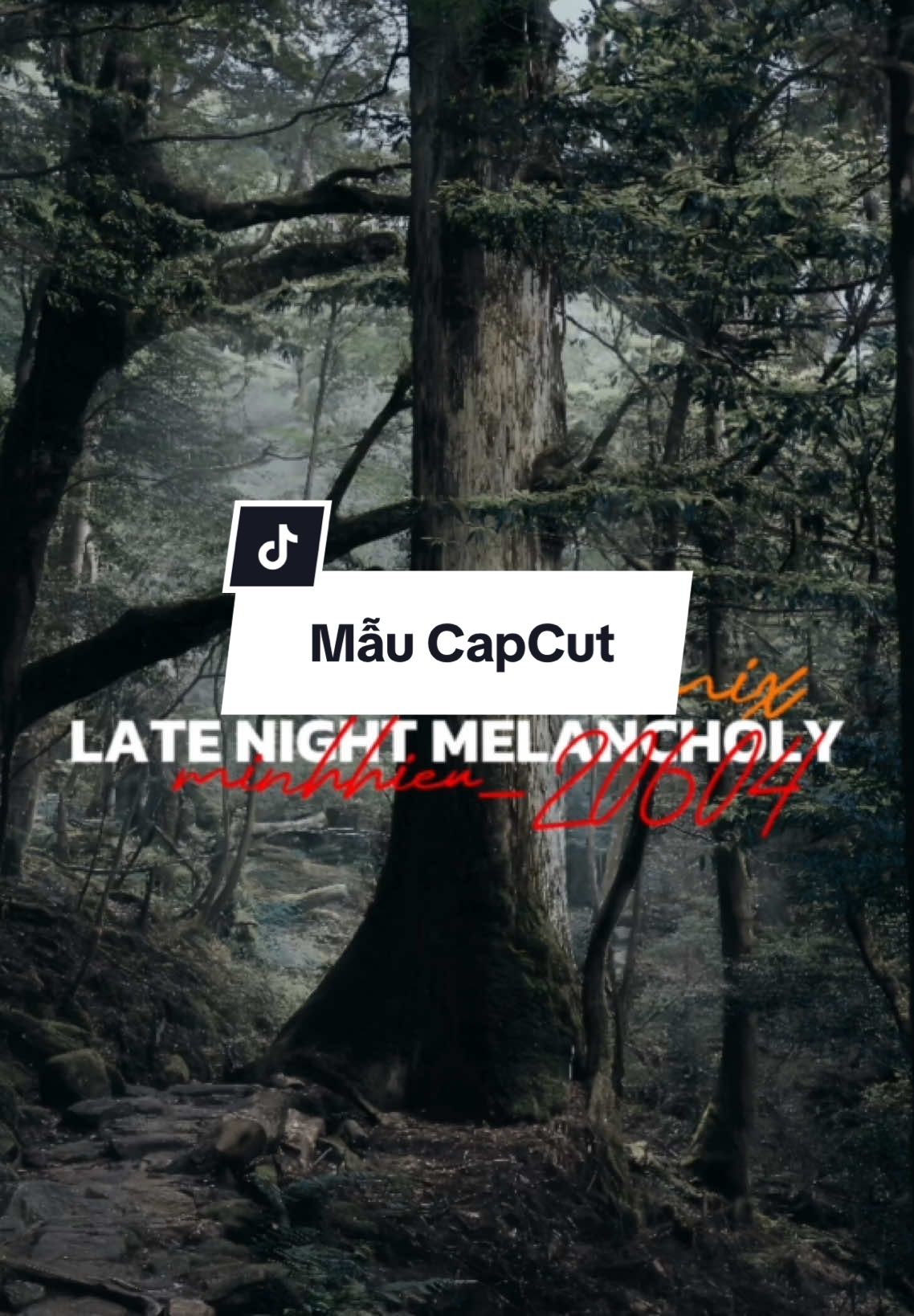 #CapCut giai điệu từ đêm sầu muộn …… | Late Night Melancholy [Đông x Thazh] #xuhuong #minhhieu_20604 #nhachaymoingay #capcut 