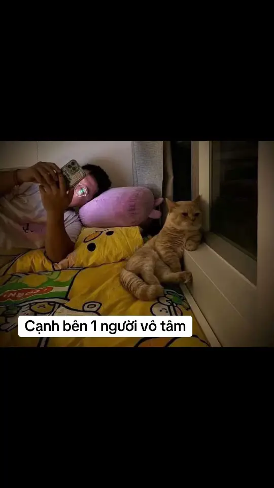 #meo #cat #trending #quotes #meme #Love #yêu