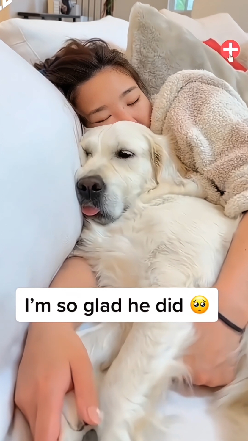 Would you let your dog sleep with you? #pet #cat #dog #cute #animals #foryou #typ 