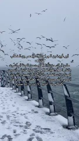 🤍#احاديث_نبويه🕋 #افلح_من_ذكر_الله_وصلى_ع_النبي #افلح_من_ذكر_الله #الشعب_الصيني_ماله_حل😂😂 #مالي_خلق_احط_هاشتاقات #اجر_لي_ولكم_ولوالدينا_وللمسلمين #قران_كريم_ارح_سمعك_وقلبك♡ 