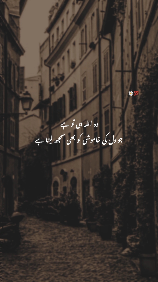 Repost🌼💞 . . #foryoupage #viral #dontunderreviewmyvideo #fypシ゚ #urdupoetry #urdushayari #foryoupage 