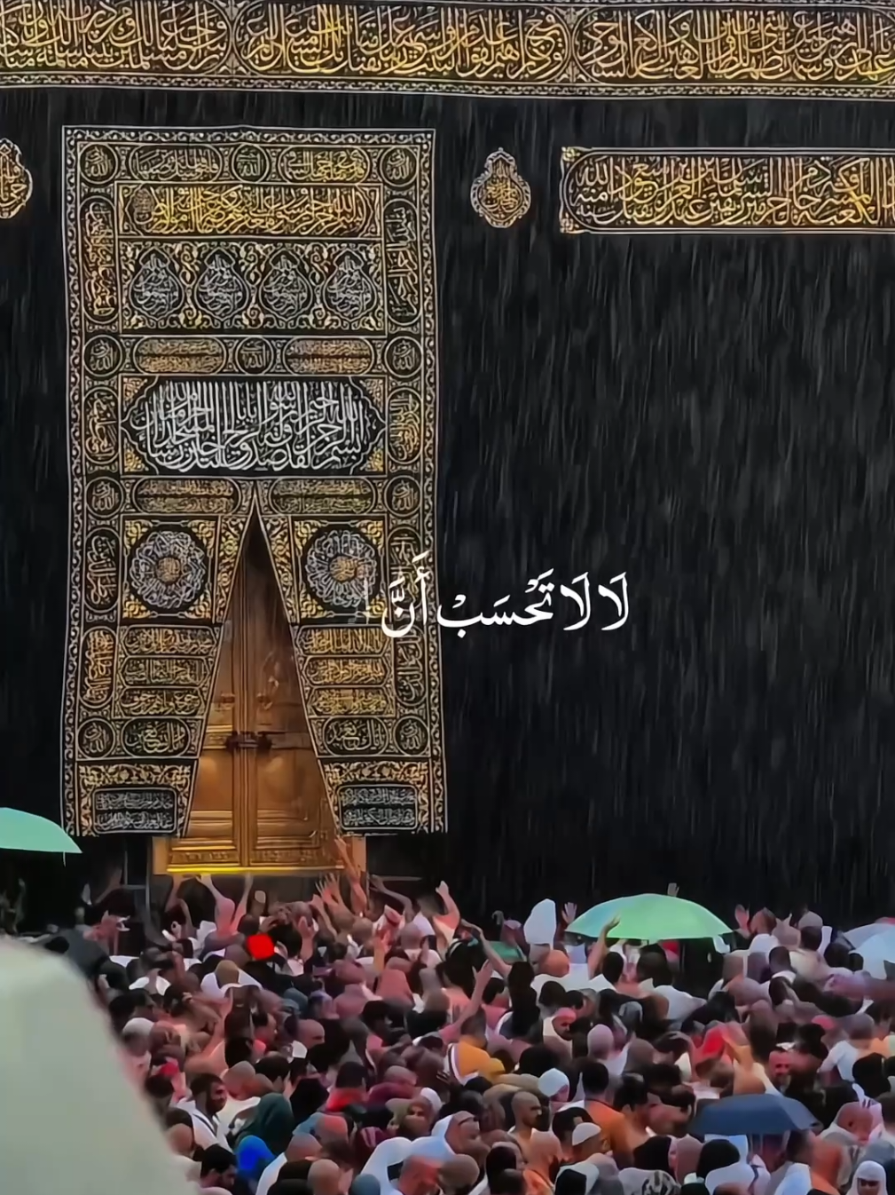 love and life ❤️  #nasheed #fypシ #viralvideo #madinah #makkah 