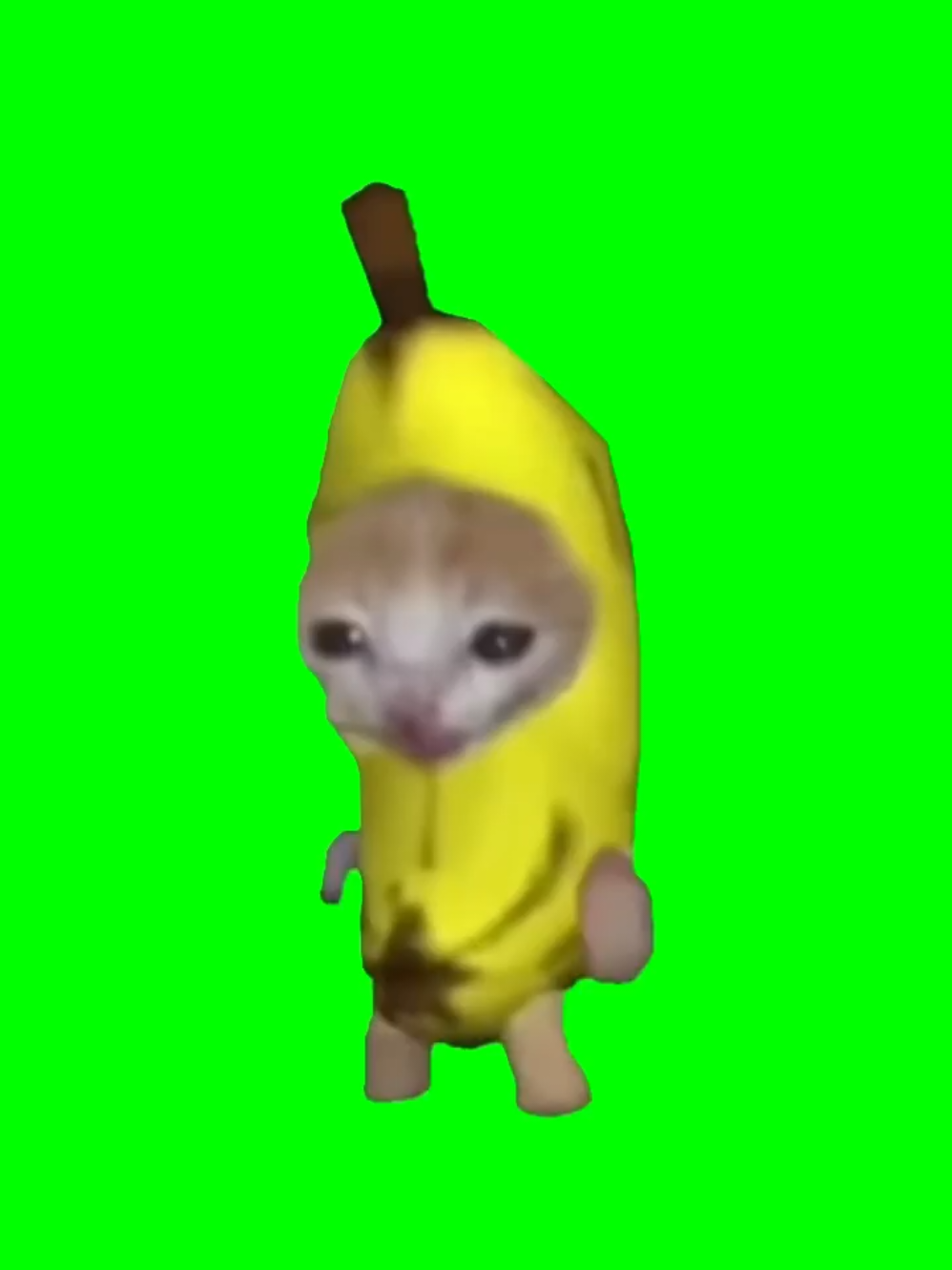cat banana meme #catmeme #memecut #meme #CapCut 