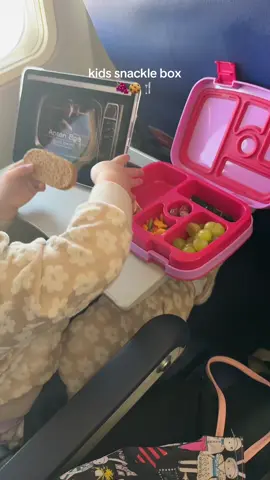 KIDS SNACKLE BOX & kinda sad I didn’t make one for myself tbh 😢 #snacklebox #kidssnacks #snacks #snackbreak #travel #traveltips #travelingwithkids #fyp 