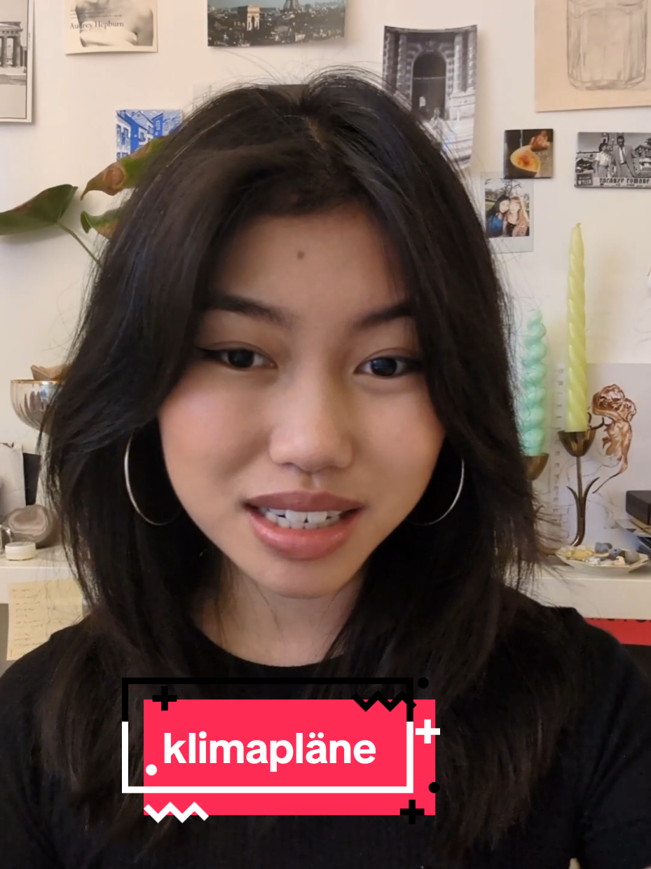 deswegen: 14.2. Klimastreik 💋🤝 #bundestagswahl2025 #reclaimtiktok #klima #parisagreement #ndc #fyp #fy