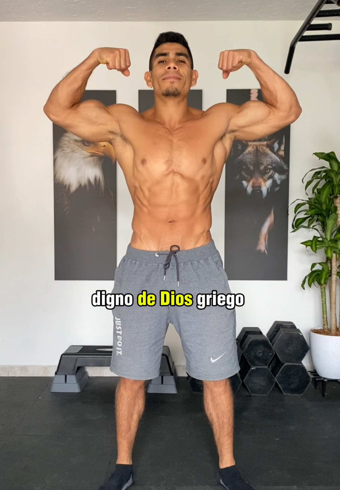 Rutina para tener abdomen de Dios griego 🍫 #abdomen #abdominales #entrenamientoencasa #calistenia #ejercicioencasa 