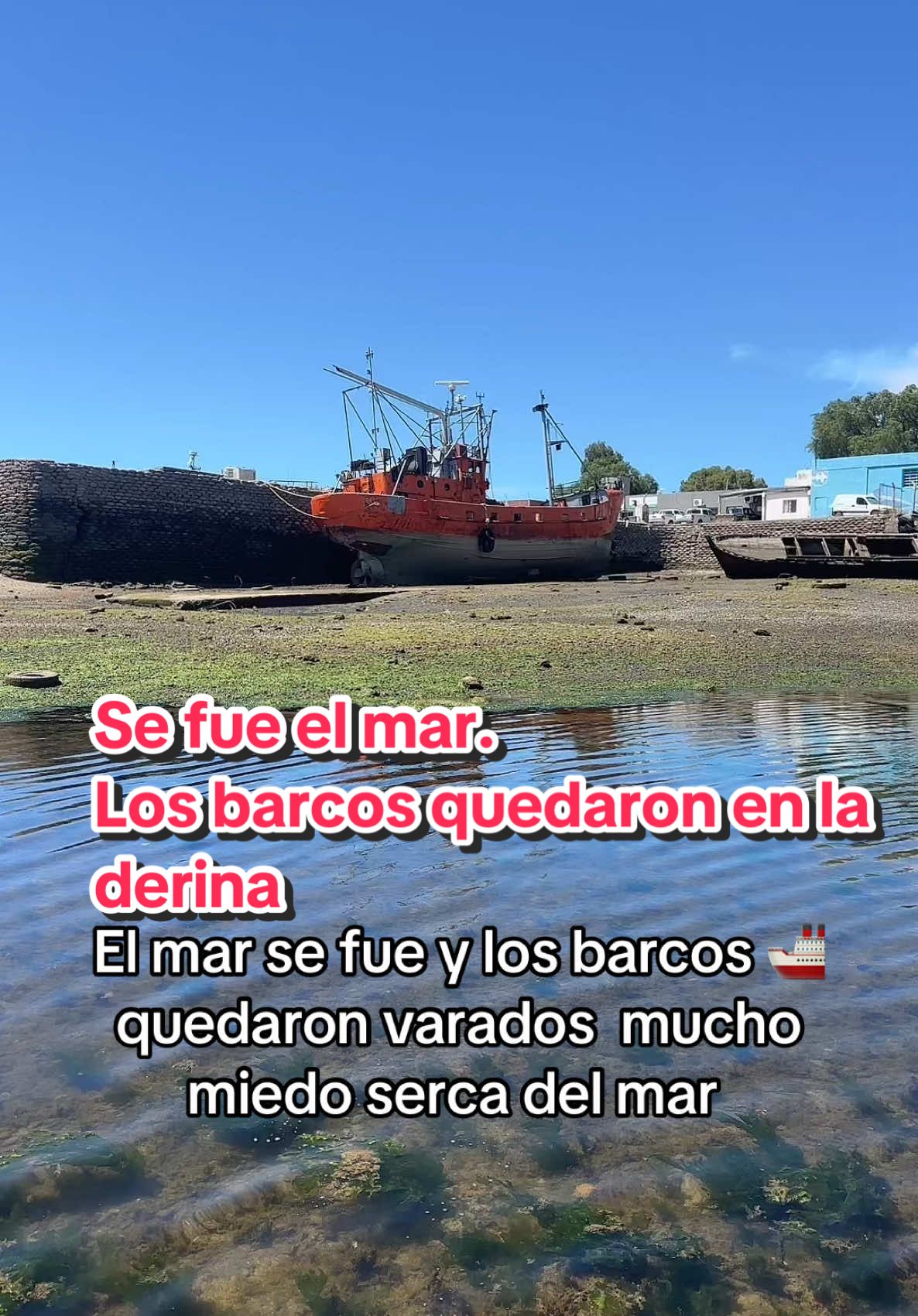 Se fue el mar. Y la gente se asusto. 