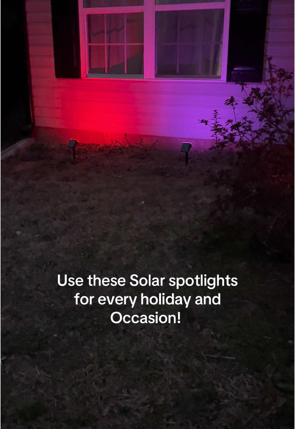 FLASH SALE AND FREE SHIPPING! These solar spotlights are so much fun and we love changing the colors for the holidays! #solar #solarspotlight #spotlights #lights #outdoorlights #holidays #ValentinesDay #TikTokShopLoveAtFirstFind #tiktokshopcreatorpicks #ttsdelightnow #giftguide #freeshipping #flashsale 