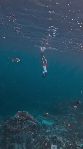 @jonathanverano107🧜 #freedive #freediving #napalingreef #panglaobohol #fypviralシ #fypage 
