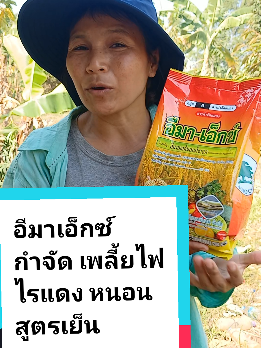 #อีมาเอ็กซ์ #อีมาเอ็กซ์ยาฆ่าหนอน #อีมาเมกตินเบนโซเอต #อีมาเมกติน #อีมาเอ็กซ์1กิโลกรัม #รีวิว #รีวิวของดีบอกต่อ #เกษตรสาวภูธร 
