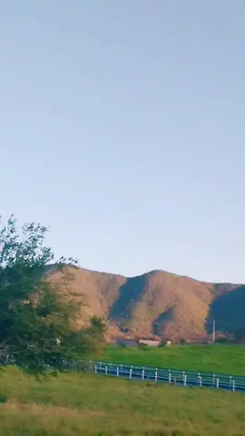 #llanoadentro🤠 #almallanera #musicallanera #llanerasvenezolanas🇻🇪 #llanerasvenezolanas #llanovenezuela #llanerisima #llano #llanerasdevenezuela #carraocarrao🐎 