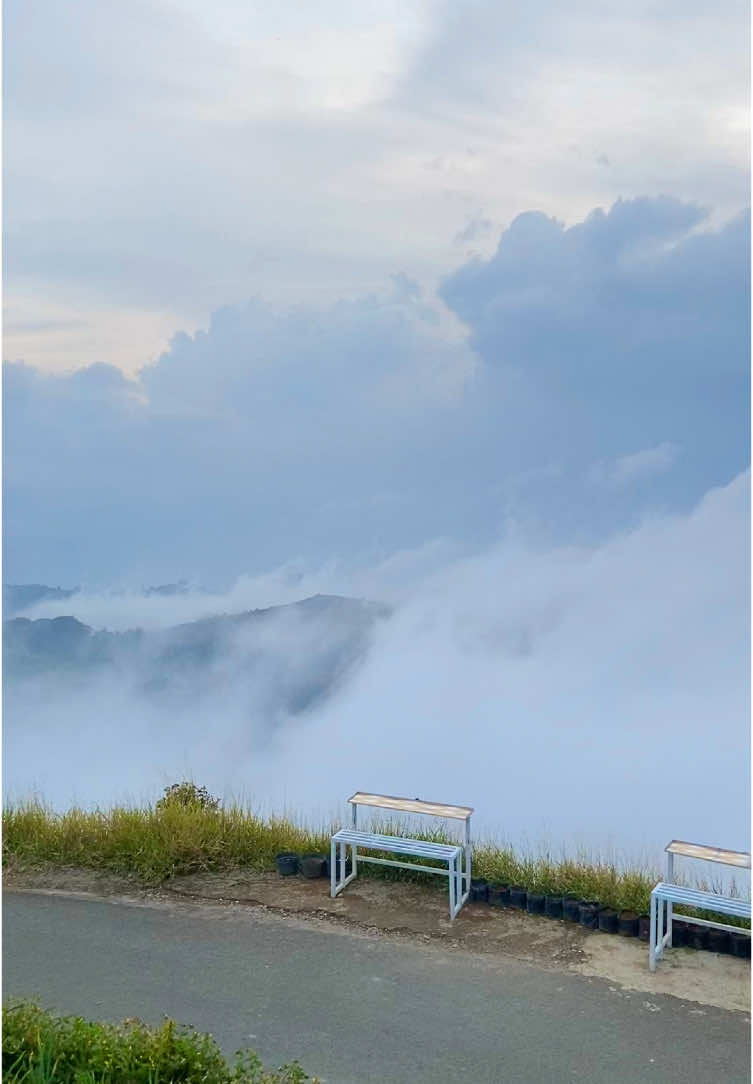 Emang boleh panyaweyan secandu ini😍🍃🍃#panyaweyanmajalengka #teraseringpanyaweuyan #lawangsaketeng #wisatamajalengka #majalengka #petaniindonesia🇮🇩🇮🇩🇮🇩🌿🌿 #majalengkajawabarat #virall #fyp #gunungciremai 