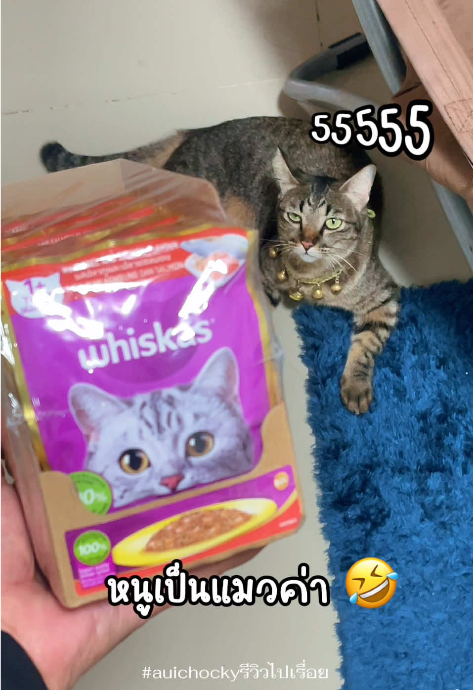 ใครมันจะไปเลี้ยงไหว 🤣 หาค่าอาหารแมวแพพ #whiskas #อาหารเปียกแมว พี่ส้มชอบ ก็ต้องซื้อตุนไว้ ซื้อยกแพค ตกซองละ 14 บาท แมวบอก “ มีหน้าที่เลี้ยงก็เลี้ยงไปนะทาส” #ทาสแมว #แมว #ไอ้ส้มแมวข้างบ้าน #cat #cute #อาหารแมว 