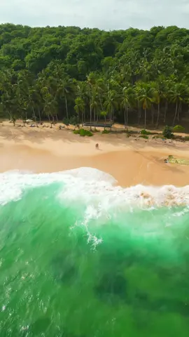 Silent Beach | Tangalle 🇱🇰 Just a 20 minutes drive from Hiriketiya you’ll find Silent Beach. This incredible beach is not busy and touristy at all. With the palmtrees hanging over the beach its definitely a little paradise! 🏝️ #silentbeach #tangalle #hiriketiya #srilankabeach 